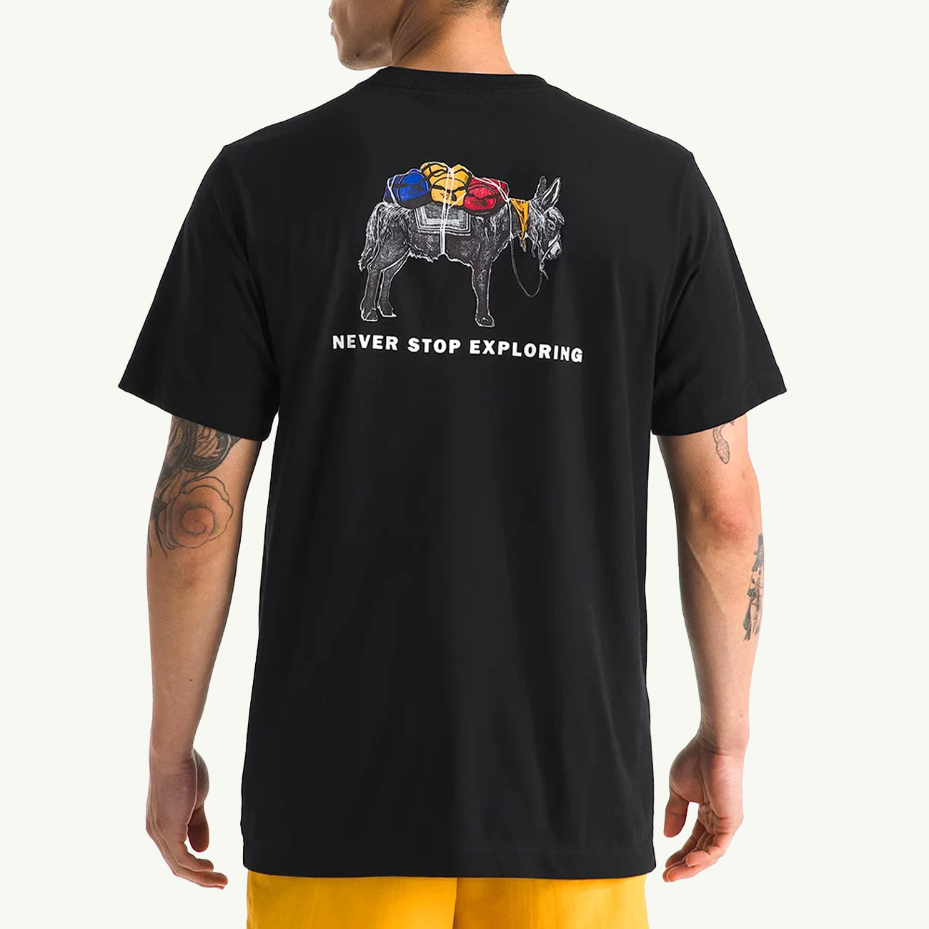 Evolution Pack Tee - TNF Black