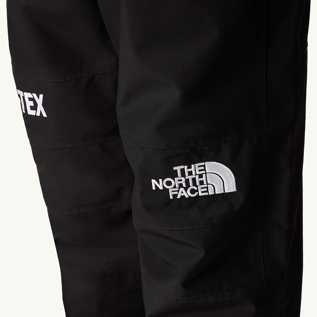 Gortex Mountain Pant R - TNF Black