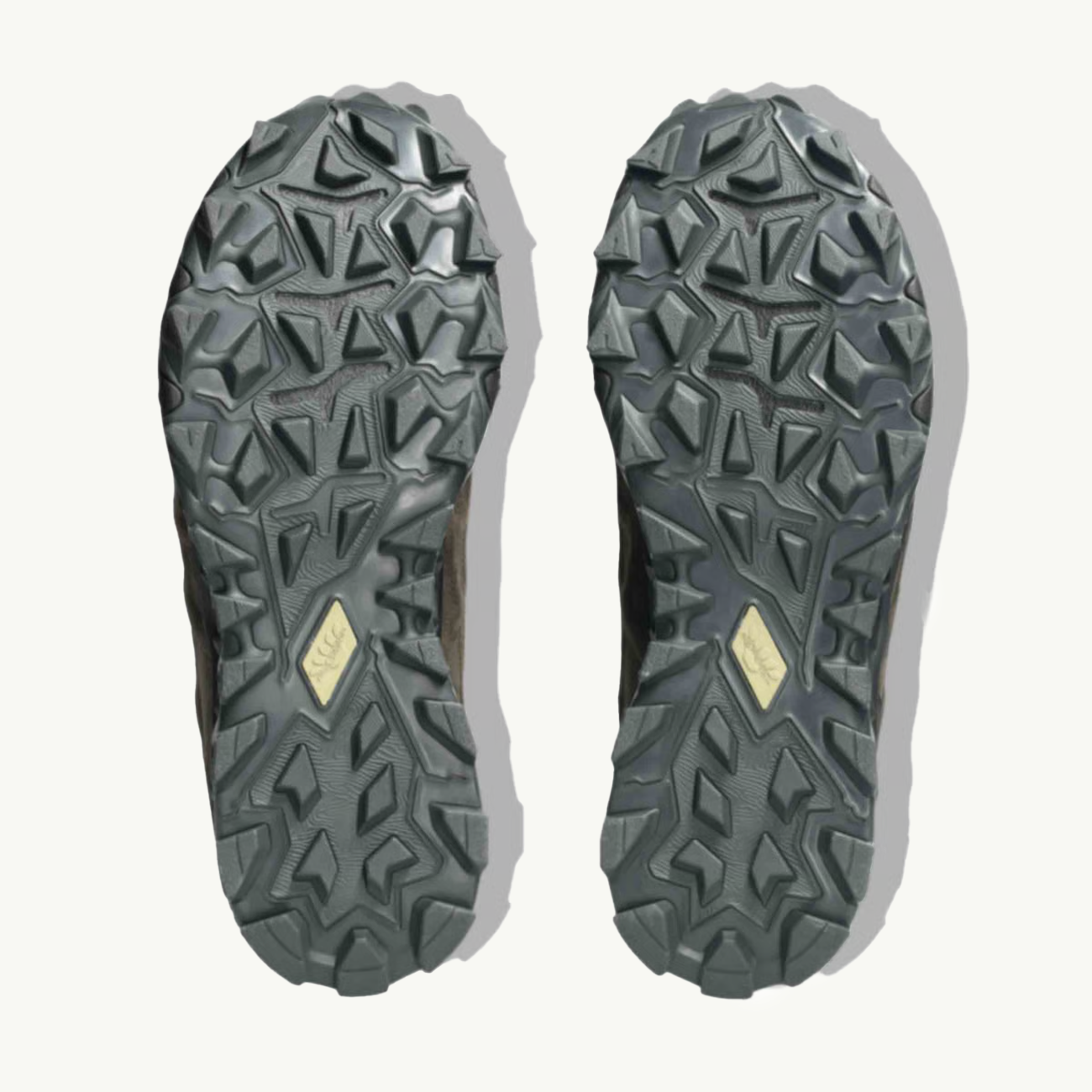 Gel-Transcend FJ - Black Coffee/Graphite Grey